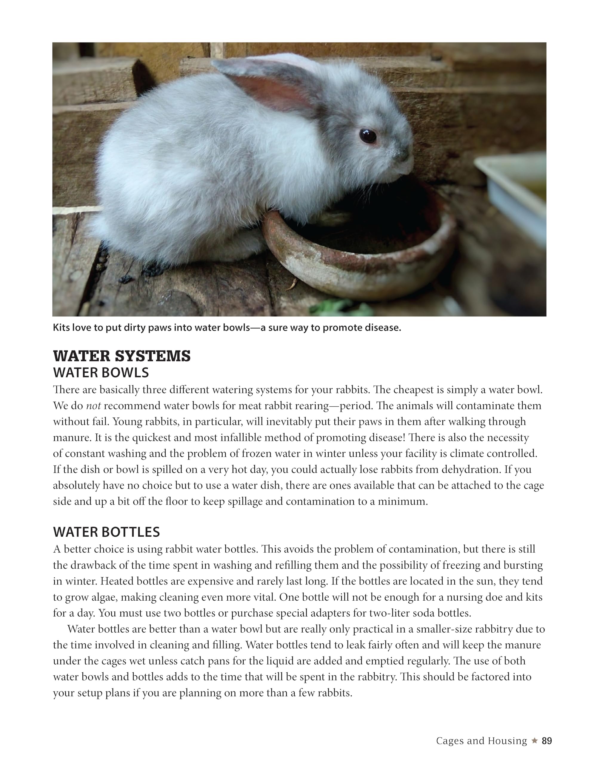 A Practical Guide to Rabbit Ranching: Raising Rabbits for Meat and Profit (CompanionHouse Books) Farming Meat Rabbits, Care, Housing, Feeding, Breeding, Growing, Disease Management, Costs, and More