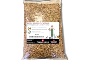 Dried mealworms Economic Alternative - Dried Black Soldier Fly Larvae (11 lb (5 kg) 1 Bag)