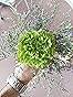 Immagine cliente