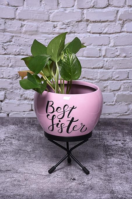 HINS Best Sister 7 Inch Metal Round Shape Pot With Stand Metal Pots For Indoor Plants I Elevated Garden Planter I Raised Planter I Desk Plant I Raised Planter Box I Ascent Homes Metal Planter I Raised Planter Box With Legs I Brass Pots For Indoor Plants I Golden Planter I Mid Century Plant Stand I Brass Planters For Indoor Plants I Indoor Plant Stand For Living Room I Metal Planters Pot For Indoor Plants designer pots for indoor plants