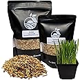 Organic Cat Grass Seeds, Non-GMO, A Mixture of Wheat, Oats, and Barley (350g)