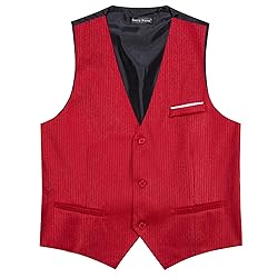 Barry.Wang Men Red Formal Vest Striped V-neck