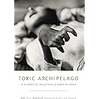 Toxic Archipelago: A History of Industrial Disease in Japan (Weyerhaeuser Environmental Books)
