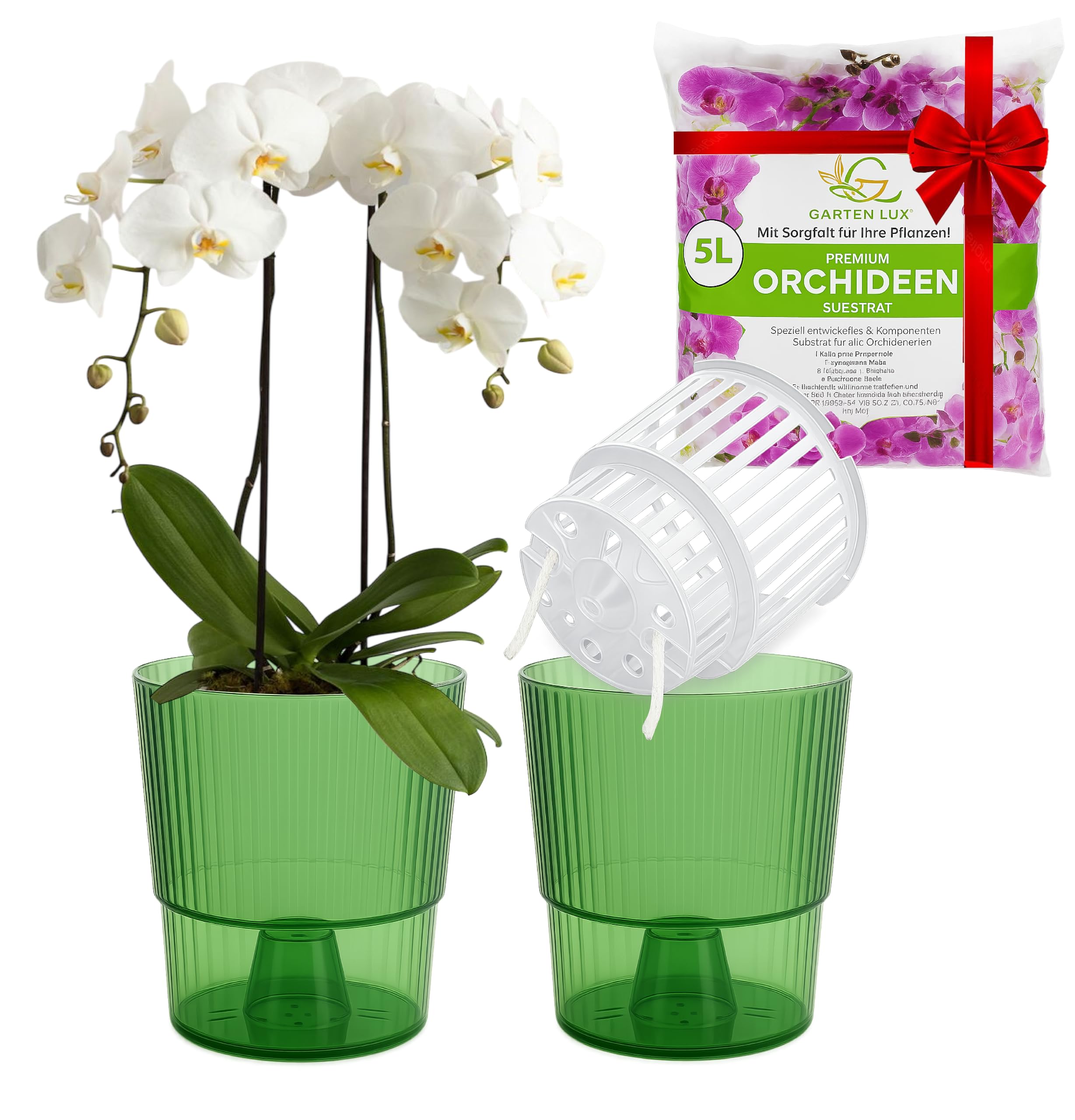 Garten lux Set of 10 Pcs. Orchid Pots Transparent with Drainage Holes Ø6.70 In. 1.5L. D17 cm Height 13 cm Plastic Orchid Pots for Indoor Use