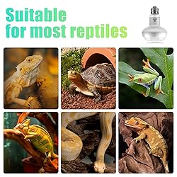 REPTI HOME Reptile Heat Lamp 2Pack 100W, Intense