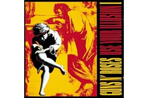 Use Your Illusion: I