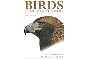 Birds of Prey of the West: A Field Guide