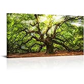 Conipit Landscape Canvas Wall Art Angel Oak Tree Picture Prints South Carolina Tree Art Print Framed and Stretched Nature Canvas (W-48xH-24)