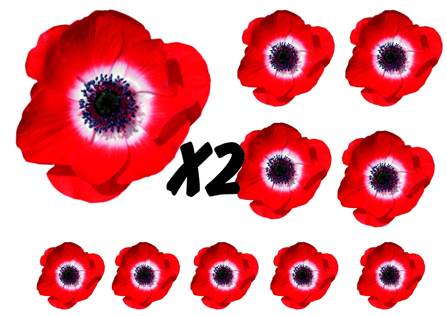 Poppies Flower Decals Car Stickers Graphics Nursery Wall Window Decorations Art 10 Pack (20