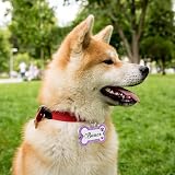 EDSG Personalised Dog Tag Pink Bone Stainless Steel Engraved ID Tag UK view 7