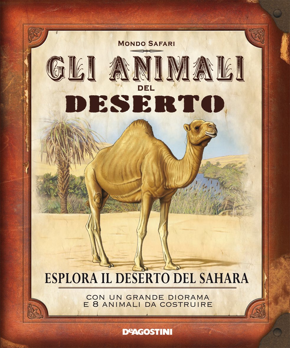 Animali Del Deserto Il Cammello Il Dromedario La Volpe Grigia E Il Coyote