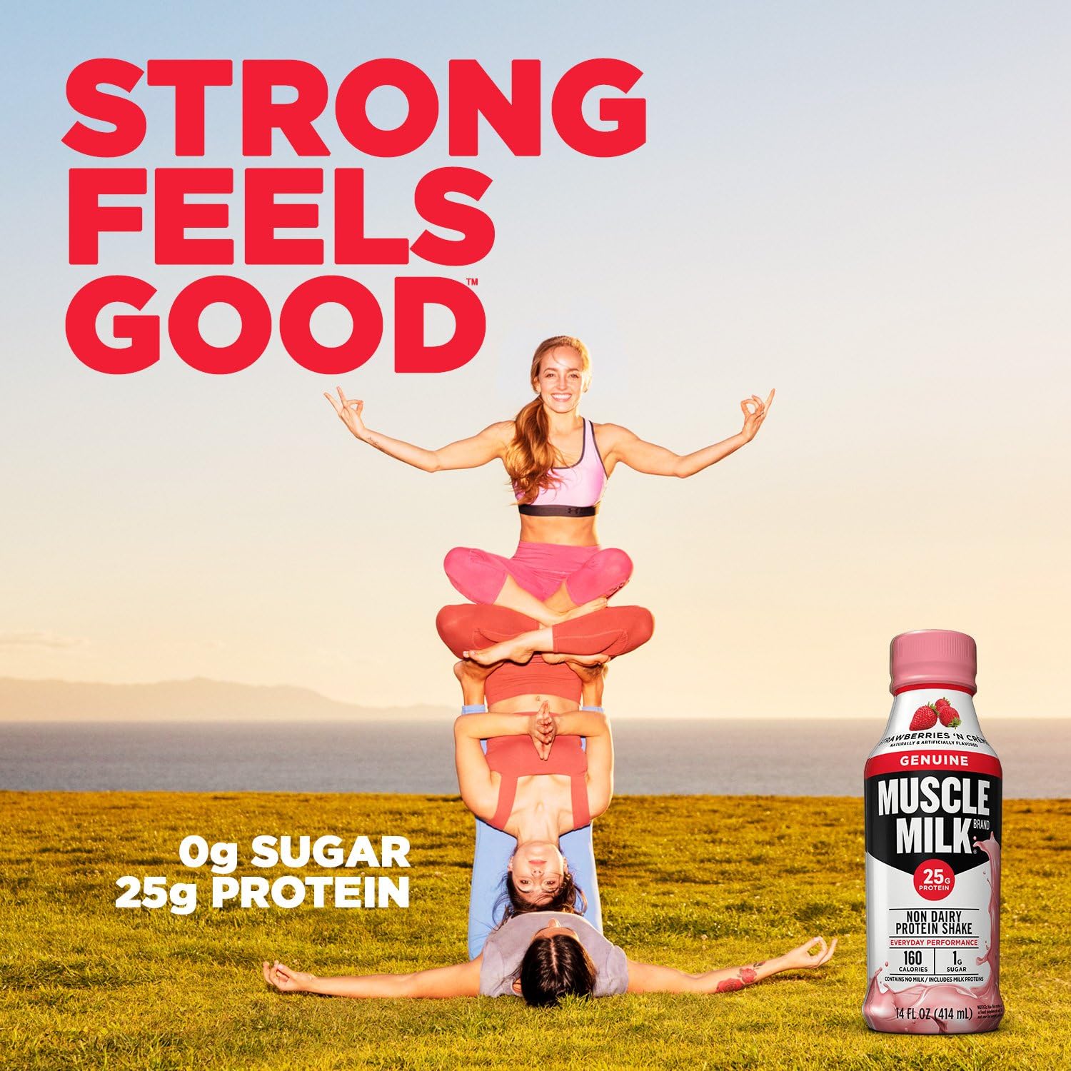 Muscle Milk Genuine Protein Shake, Strawberries 'N Crème, 25g Protein, 14 Fl Oz, 12 Pack: Health & Personal Care
