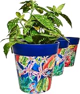 Hum Flowerpots 22cm Set of 3 Indoor Outdoor Plastic Plant Pots Blue Leaves view 7
