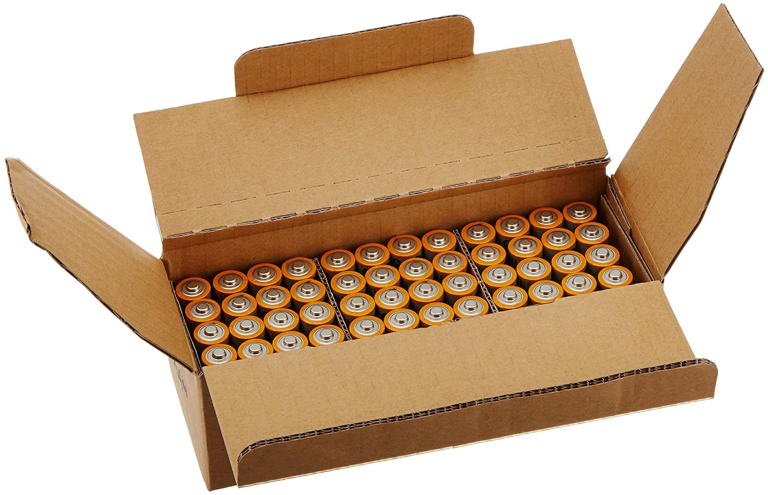 AmazonBasics AA Performance Alkaline Batteries (48 Count) - Packaging May Vary