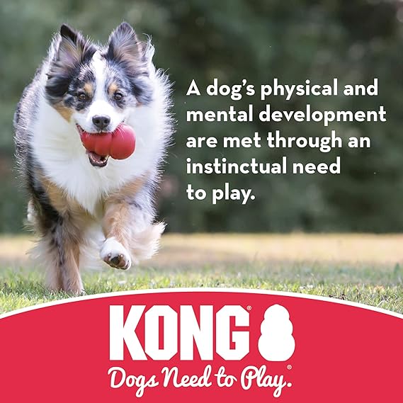 kong for dogs amazon