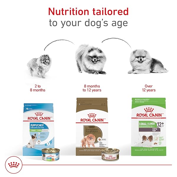 ROYAL CANIN BREED HEALTH NUTRITION POMERANIAN DRY DOG FOOD, 2.5 LB BAG