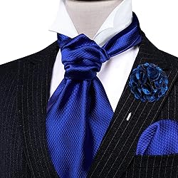 Ailisus Cravat Tie and Lapel Pin Set Mens Solid