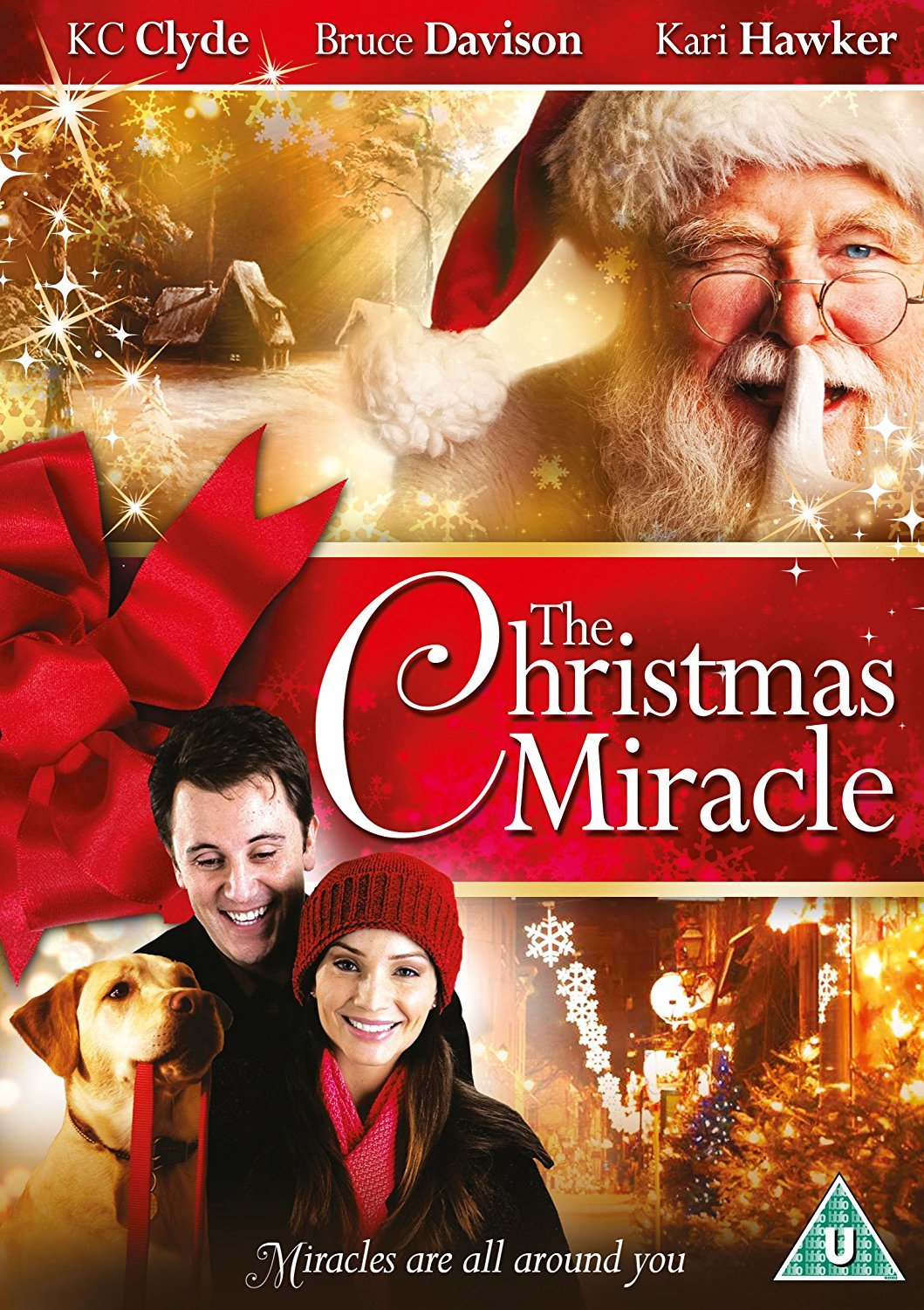 The Christmas Miracle [DVD] [2017]