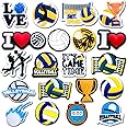 Xaldrichasta 20Pcs Volleyball Shoe Charms for Clog Different Matching Sandals Wristbands Bracelets, Sports Ball Shoe Charms Decorations (Volleyball)