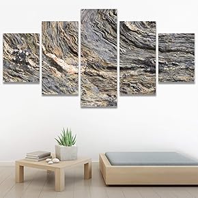 SIGNWIN 5 Panel Canvas Wall Art Abstract Closeup...