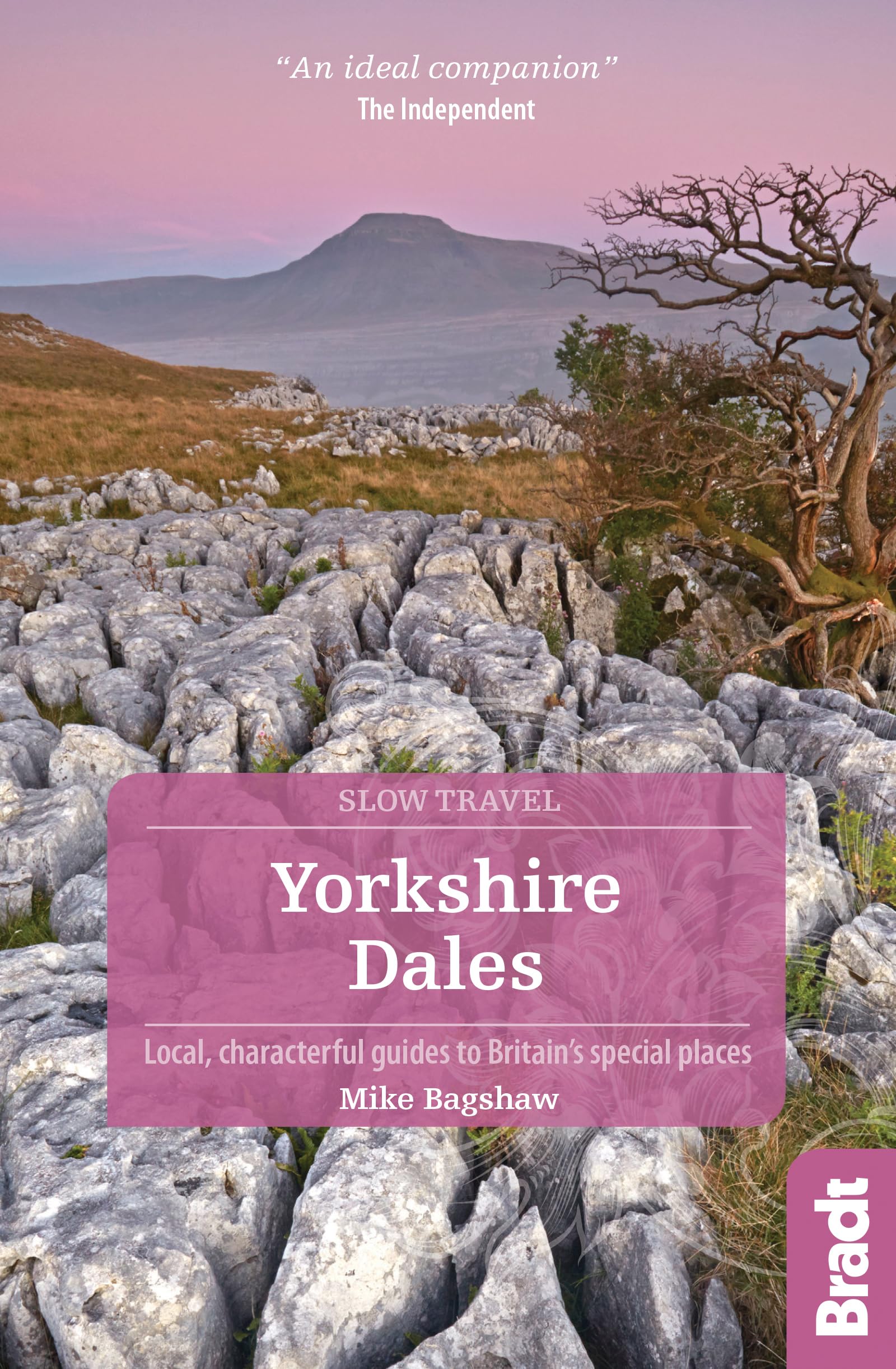 Yorkshire Dales (Slow Travel) (Bradt Travel Guides (Slow Travel series)): Local, Characterful Guides to Britain's Special Places