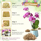 Riare 500g Sphagnum Moss Long Fibered for Plants Orchids Terrariums view 4