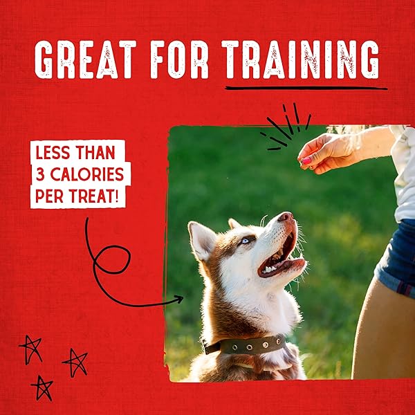 STELLA & CHEWY’S FREEZE-DRIED RAW DOG TREATS – CARNIVORE CRUNCH FOR TRAINING – NATURAL LIMITED INGREDIENT, GRAIN-FREE – PERFECT FOR PICKY EATERS – GRASS-FED BEEF RECIPE – 3.25 OZ BAG