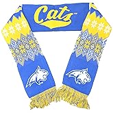 FOCO NCAA unisex-adult Lodge Scarf