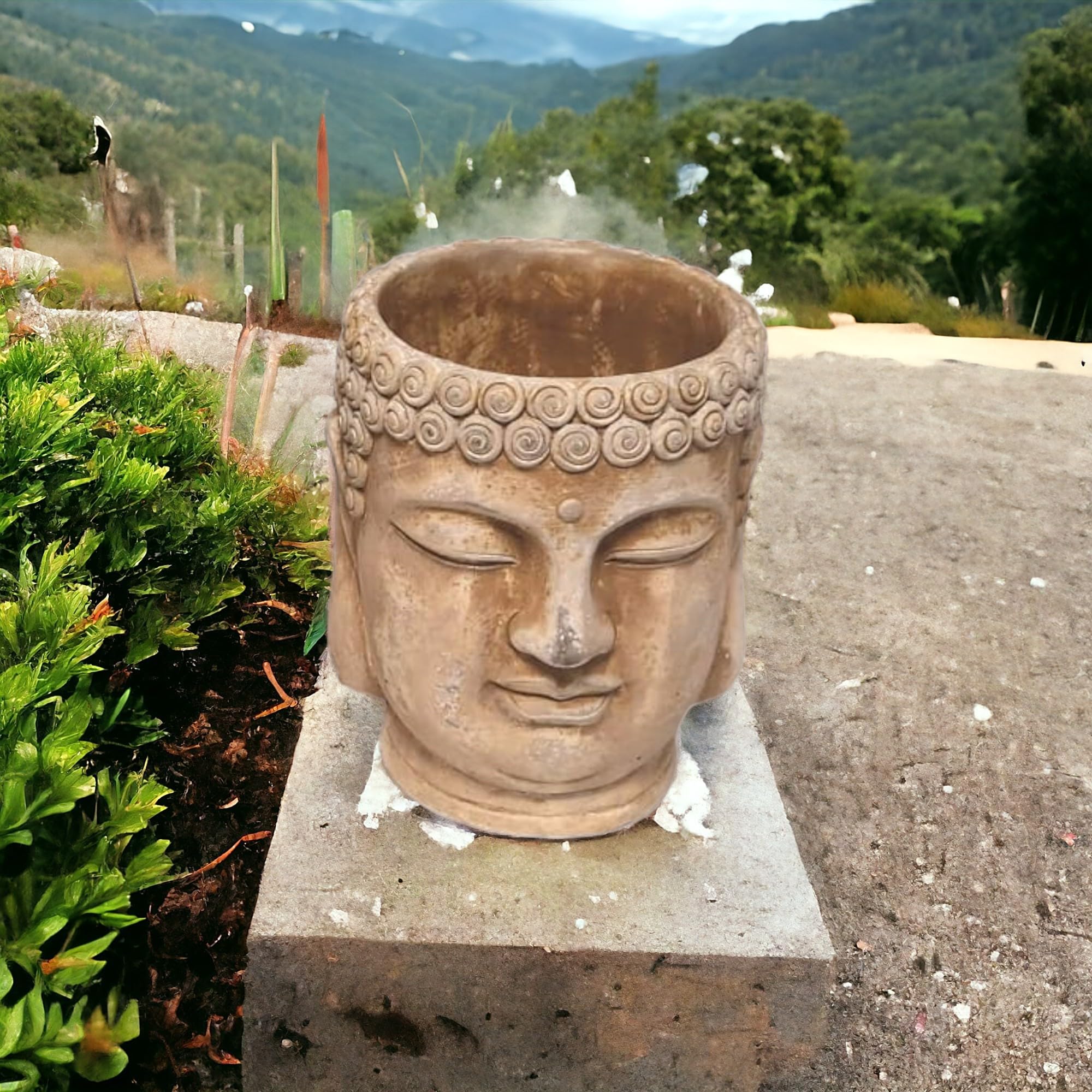 DIVAS SPIRITUAL Buddha Cement Planters Indoor/Outdoor Home Decor, Serene Buddha Head Planter – Meditative Decor (Medium(18.6 x 15 x 14.6cms) weigh 2.5 kg)
