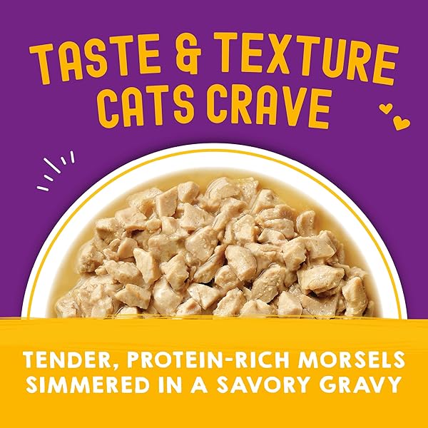 STELLA & CHEWY’S CARNIVORE CRAVINGS MORSELS & GRAVY CHICKEN & CHICKEN LIVER RECIPE WET CAT FOOD POUCHES – (2.8 OUNCE CANS, CASE OF 12)