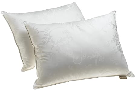 Dream Supreme Plus Gel Fiber Filled Pillows Standard Set Of 2