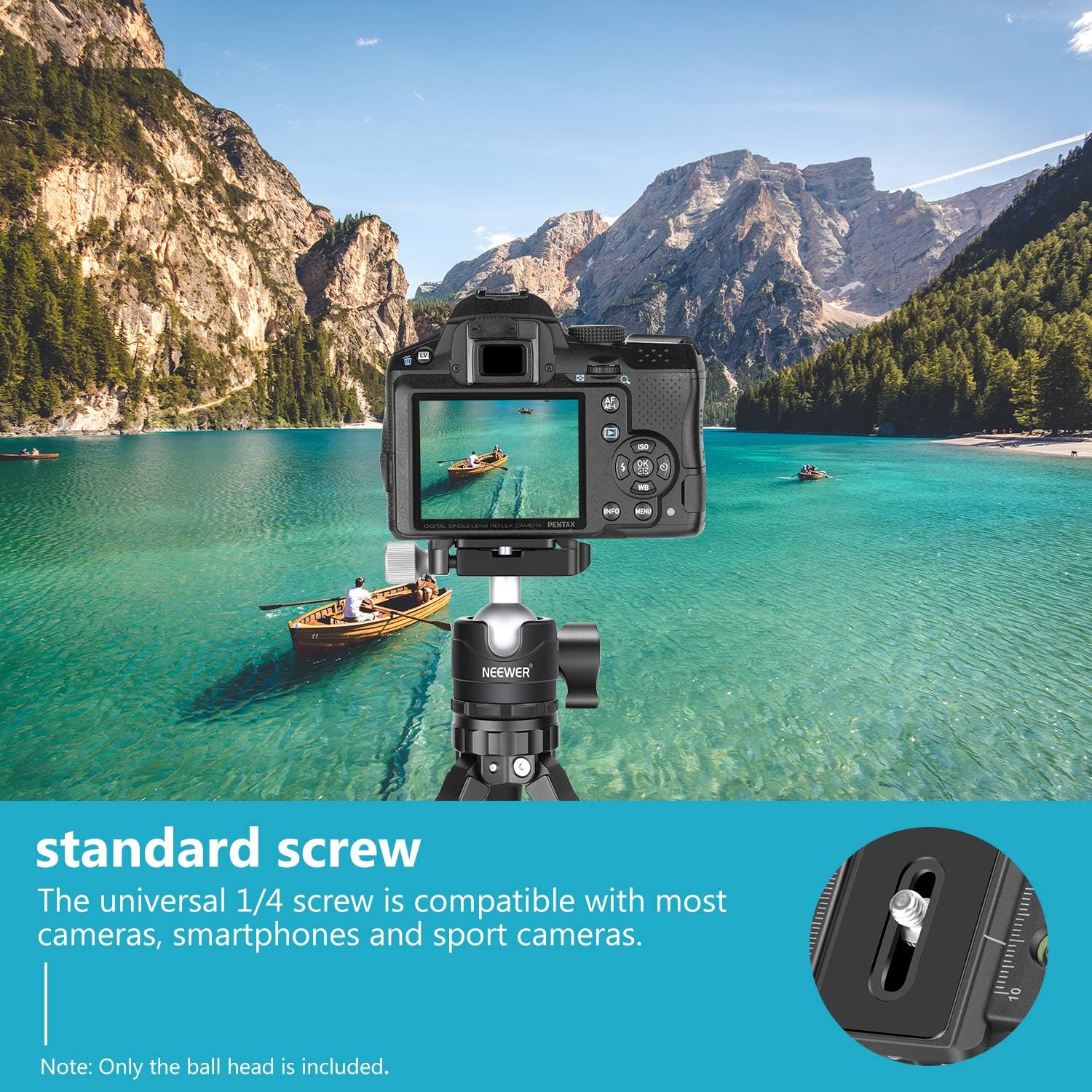 Neewer Low-Profile Ball Head 360 Degree Rotatable Tripod Head for DSLR Cameras Tripods Monopods : Camera & Photo