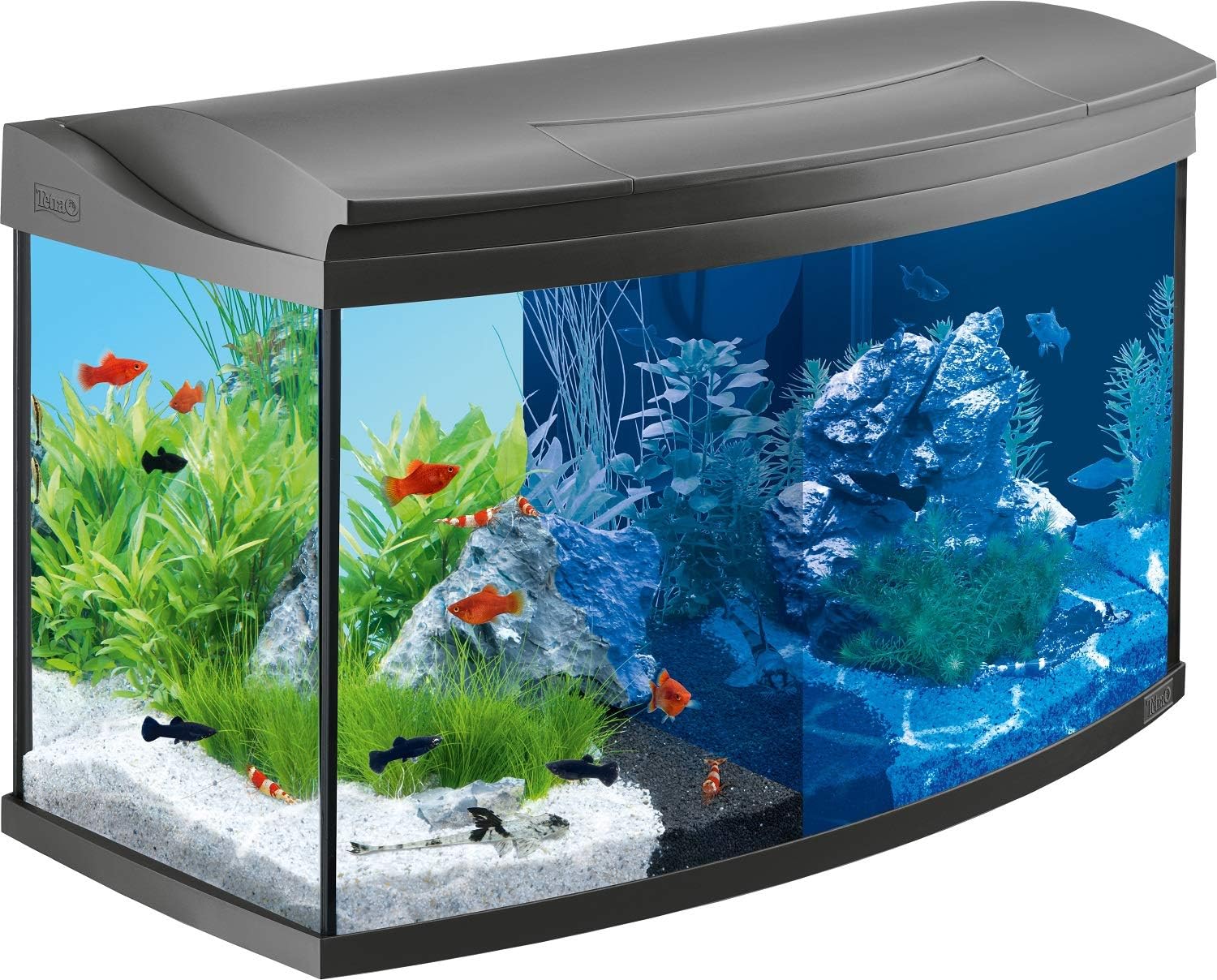 Tetra AquaArt Evolution Line LED Acuario 100 L - Set completo ...