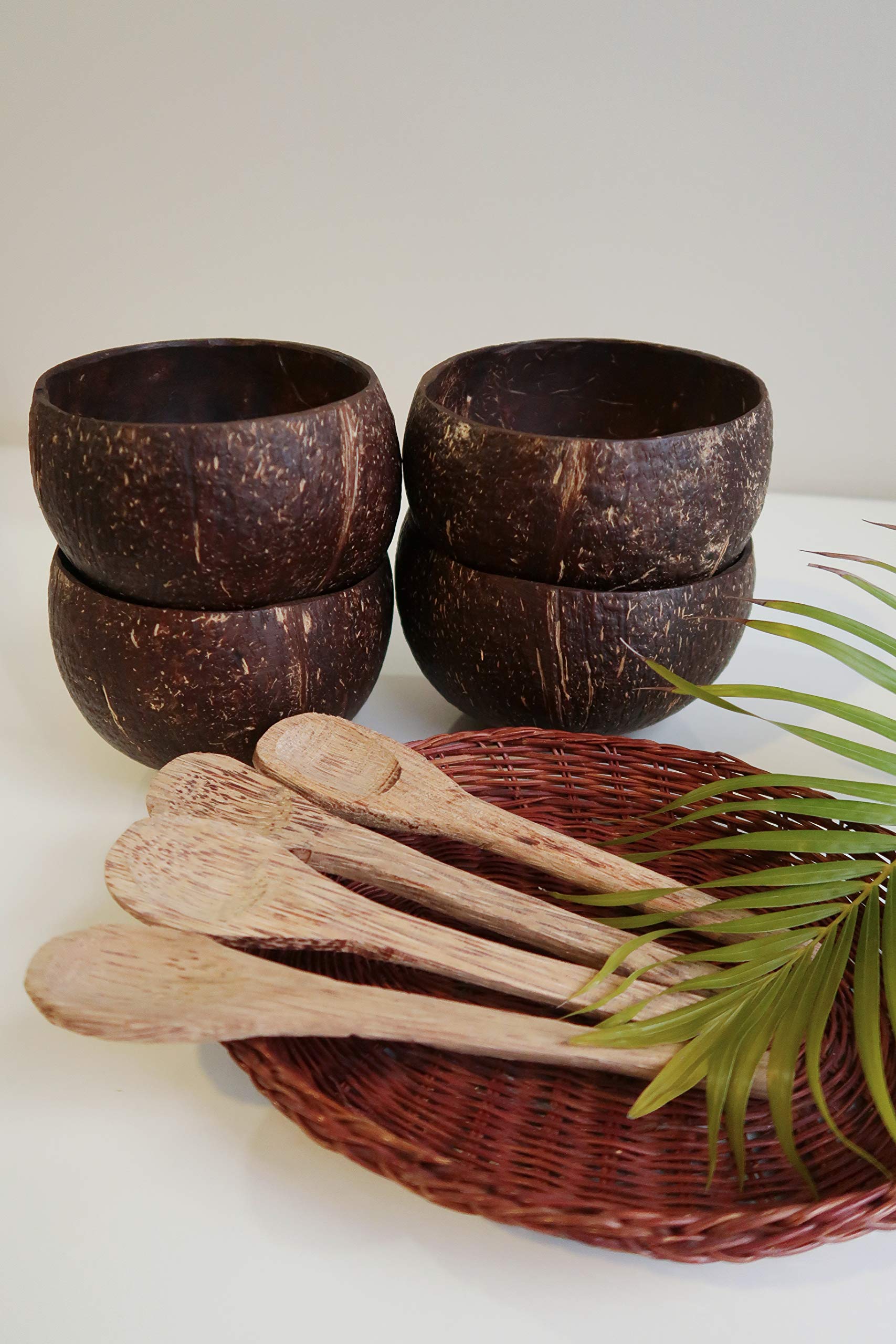 The Kind Earth Coconut Bowl + Coconut Cutlery Set Combo (Brown) (TKE_CB+CCS)