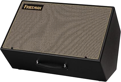 Friedman Asm 12 Frfr Active Stage Monitor Guitar Cabinet Amazon Co Uk Musical Instruments