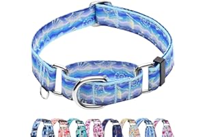 Fidohug Reflective Martingale Collar for Dogs Nylon Training Collar with No Buckle, No Pull Adjustable Dog Collar for Medium Dogs（Blue Starfish，M）