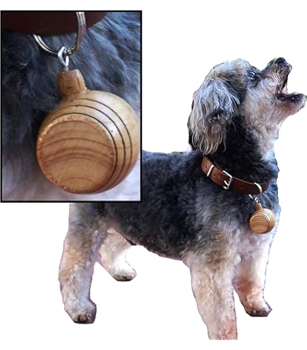 Langjitianya St Bernard Rescue Barrel Collar,Saint Bernard Barrel