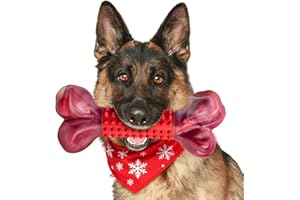 Apasiri Tough Dog Toys for Aggressive Chewers Beef Flavor: 8" Dog Chew Bone for Large Breed, Nylon & Rubber Chew Toy for Medium Large Dogs