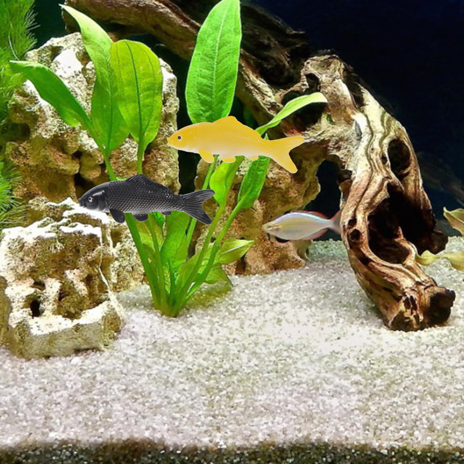 View 9