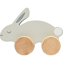 Amazon.com: Pearhead Wooden Bunny Push and Pull Montessori