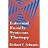 Internal Family Systems Therapy (The Guilford Family Therapy)