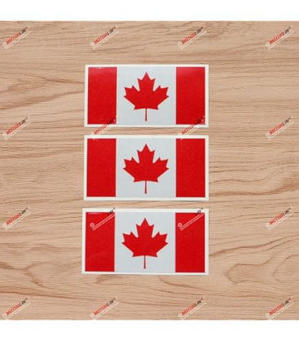 Lot De 4 Autocollants En Vinyle Pour Casque Motif Feuille D'érable