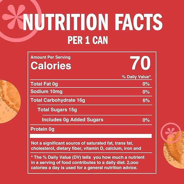 IZZE SPARKLING JUICE, GRAPEFRUIT, NO ADDED SUGARS, NO PRESERVATIVES, NON-GMO, 8.4 FL OZ CAN (PACK OF 24)