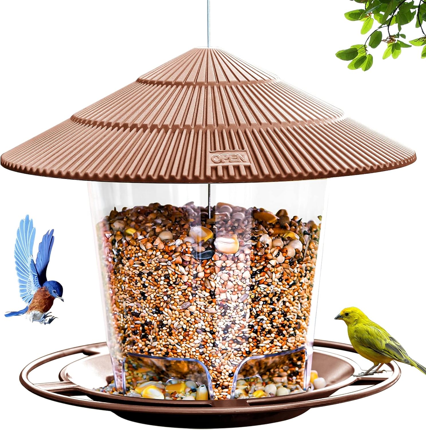 Backyard Birding & Wildlife - Hanizi Hanging Bird Feeder Squirrel Proof for Outdoor Wild Bird Seed, Outside, Garden Yard Decoration (Brown)