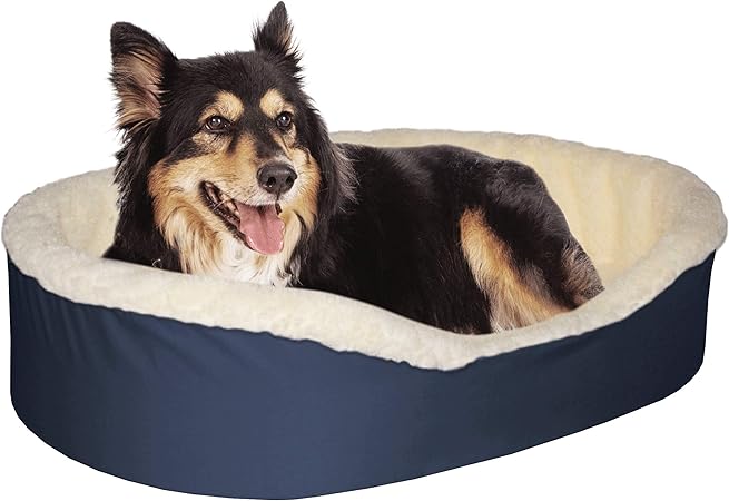 navy blue dog bed