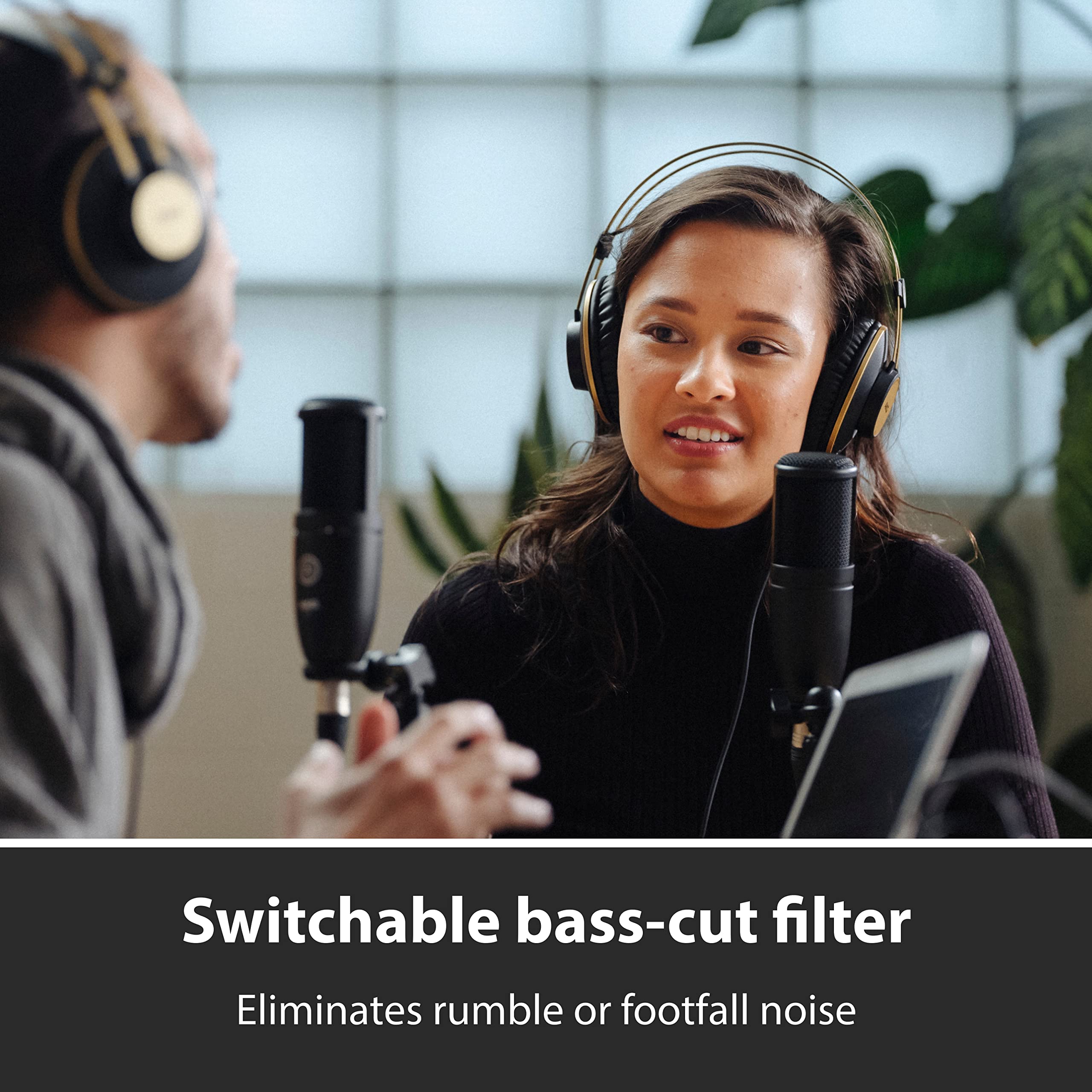 AKG P120 HighPerformance General Purpose Recording Microphone