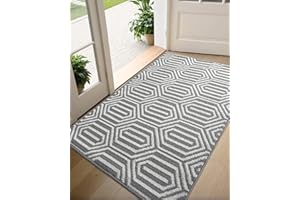 DEXI Front Door Mats for Entryway, Non Slip Washable Low-Profile Entry Doormat, Absorbent Resist Dirt Inside Floor Entrance Mat, Patio, 32x48, Grey