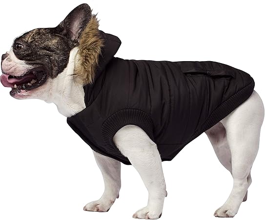 canada pooch winter coats
