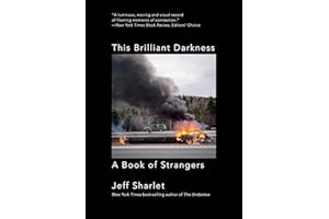 This Brilliant Darkness: A Book of Strangers
