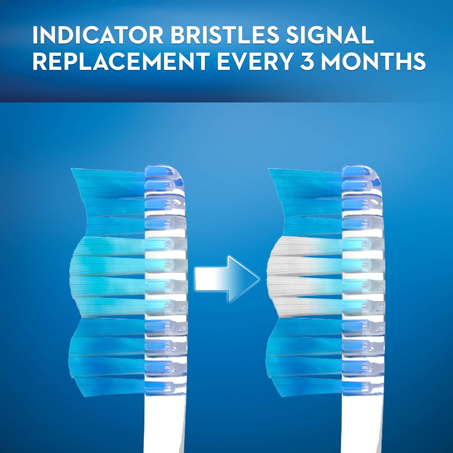 Oral-B Indicator Color Collection Manual Toothbrush, Soft, 4 Count : Beauty